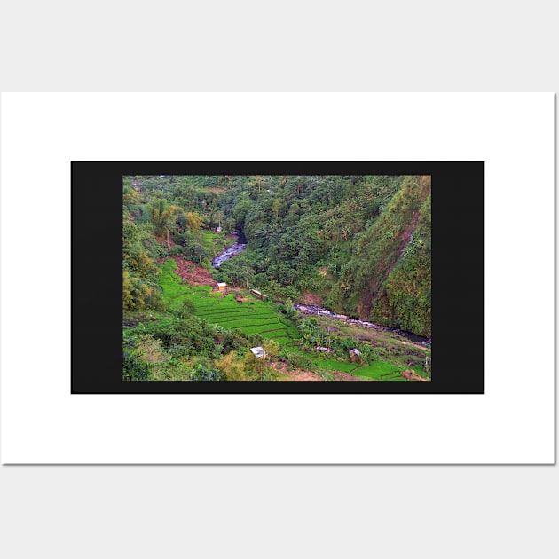 rice field in the valley Wall Art by likbatonboot